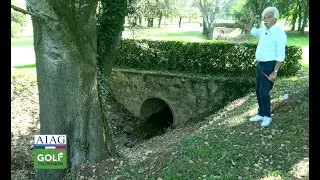 REGOLE DEL GOLF 