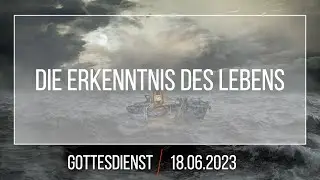 Die Erkenntnis des Lebens | Andi Wolf | 18.06.2023