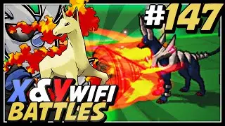 Pokemon X и Y Wifi Battle #147 Live против NippS - Artex, пройди через болото!