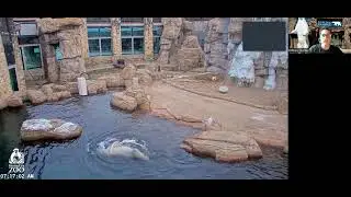 KCZoo