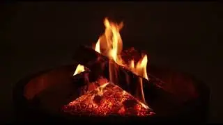3 HOURS | Cozy Campfire Ambience | Relaxation & stress relief🔥🌧️📚