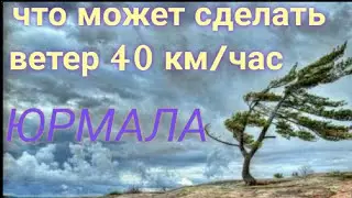 Последствия урагана в Юрмале / Ветер 40км / Латвия Балтика / Vētra Jūrmalā / Storm in Baltics 4k