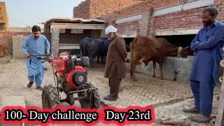 Rana Aslam Khan Waqar da mini Tractor | Hydroponics fodder updates  25th day of 100 days Challenge