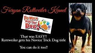 Do More With Your Dog - Novice Trick Dog title