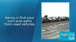 Kenny U-Pull your own auto parts from used vehicles