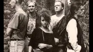 John Peel's The Becketts - Me And Robert Forster