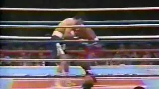 Wilfredo Vazquez Vs JIbaro Perez