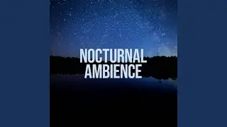 Distant Freight Train Sounds at Night (Extended Version)