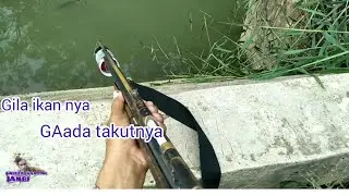 @paser mania gila gabusnya mubar..#mancing #paser #ikangabus