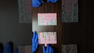 Mahjong gameplay speed version 11 #mahjong #mahjongmania #cats #capybara #satisfying