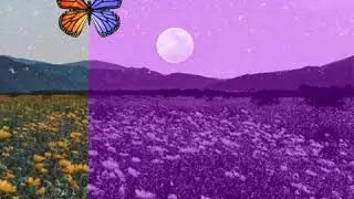 Uncle Yama - Purple Zone ft. AndyHas (Audio)