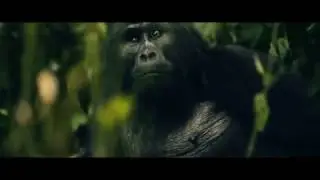 Visit Uganda Tomorrow