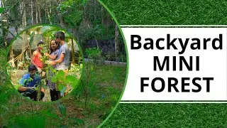 പിന്മുറ്റത്തൊരു ചെറുകാട്‌ | Growing Mini Forest in the Backyard using MIYAWAKI METHOD | KERALA