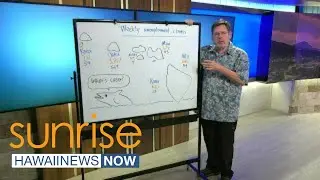 Business Report: Hawaii unemployment claims remain above 6,000