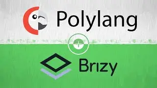 Polylang & Brizy