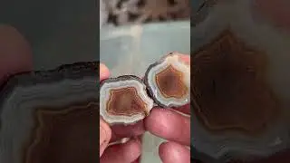 Another Malawi agate cut open using a cheap tile saw #malawiagate