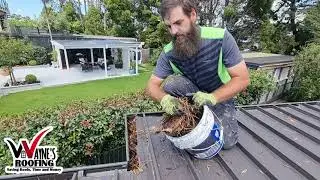 How to clean gutters?