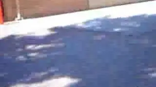 Luke Williams Confrontation