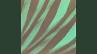 Zero Gravity