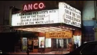 Book Review: These Fists Break Bricks: How Kung-Fu Movies Swept America and Changed the World