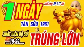 Xuất Hiện Bộ Số Đổi Vận TÂN SỬU 1961 Tài Lộc Bùng Nổ Giàu kếch Xù Đúng ngày Cuối Cùng 30/11 âm