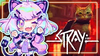 Meow! - Stray