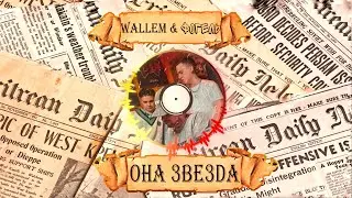 Звезда из телика - WALLEM & ФОГЕЛЬ (Шоу 3 Кота)