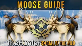 Как заполучить отличного лося | Hypifed | theHunter: зов дикой природы