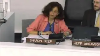 Ms. Sharon Deep - UN High Level Forum on The Culture of Peace