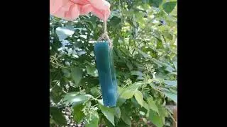 summer soap