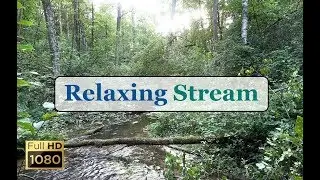 Relaxing River Sounds - Relaxing River - Forest Stream - Green Apple Music