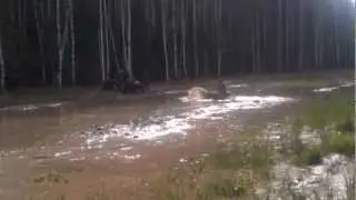 VIDEO0110