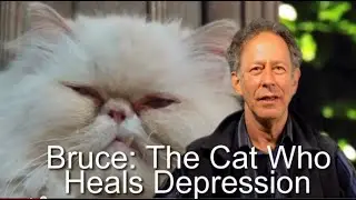 Bruce: The Cat Who Heals Depression