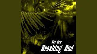 Breaking Bud