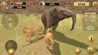 Wild Lion Simulator 3D Android Gameplay #5