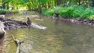 ProBoat JetJam
