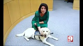 Companions For Courage Channel 9 Interview