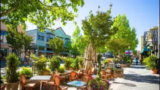 Discovering Mountain View Downtown: Exploring Silicon Valley's Hidden Gem pt 1
