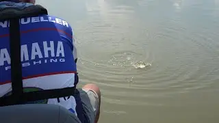 Inside Crappie Dan&rsquo;s iKon Boat Setup Powered by Norsk Lithium