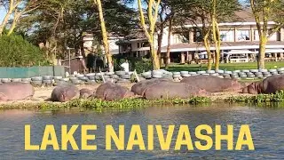 Navaisha Kenya - Boat ride on Lake Naivasha @misstrudyy @AFRICANTIGRESS @Royalkheem