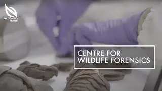 Centre For Wildlife Forensics