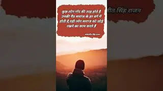सामाजिक एकजुटता