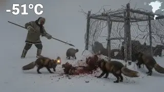 Greenland Frontier: A Life Beyond Civilisation