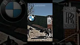 Rolls Royce vs BMW