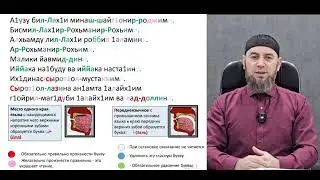 Гулиев Ахмад - правильное чтение Фатиха
