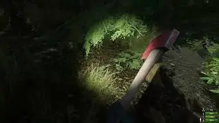 Crazy Wolf in Miscreated(2020)