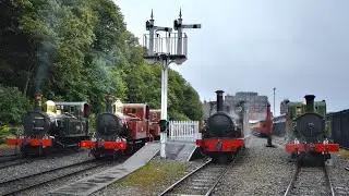 Steam Extravaganza at Douglas station