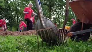 Wade Walks: Corporate Volunteers