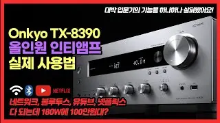 대박 올인원 오디오. 이걸로 유튜브도 하고 넷플릭스도 봐요. 기능만 좋은게 아니라 180와트에 100만원대? - Onkyo TX-8390 올인원 인티앰프 실제 사용법