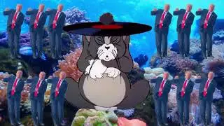 Spinning Tom with Trump under water